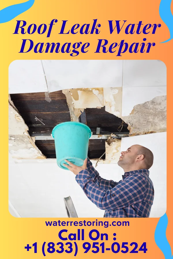 Roof Leak Water Damage Repair in Yemassee, SC