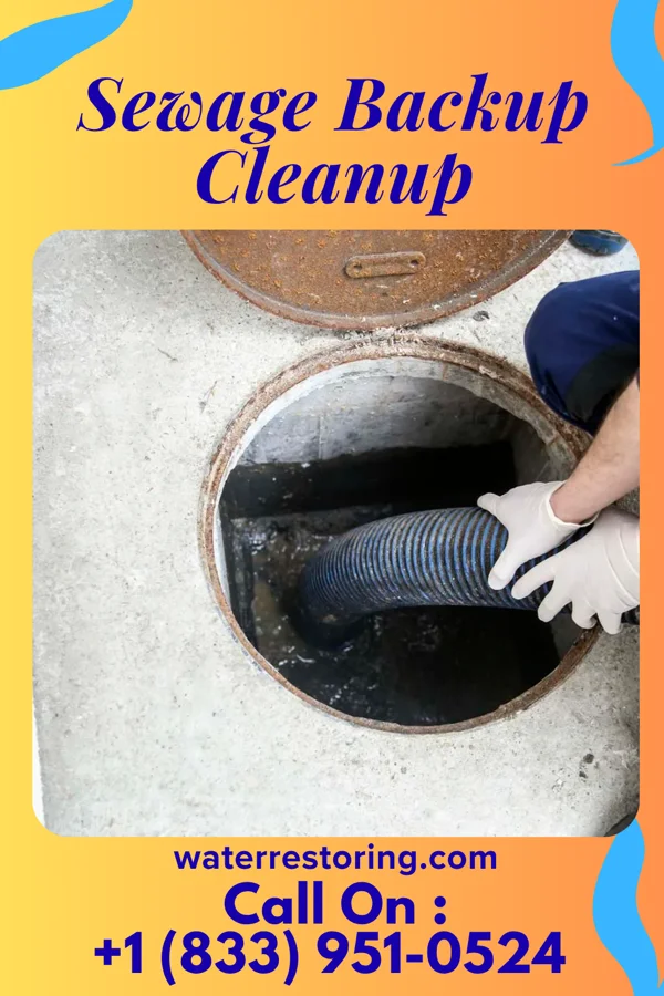 Sewage Backup Cleanup in Yemassee, SC