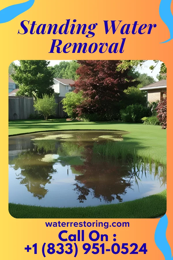 Standing Water Removal in Yemassee, SC